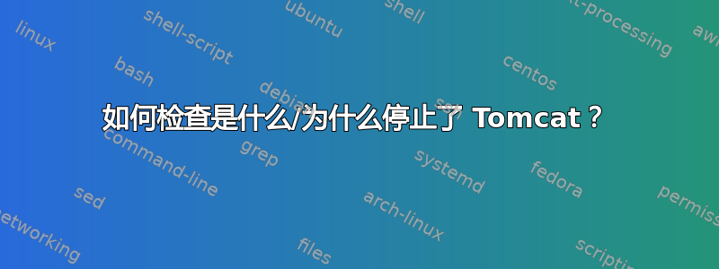 如何检查是什么/为什么停止了 Tomcat？