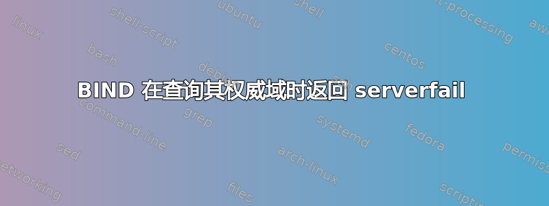 BIND 在查询其权威域时返回 serverfail