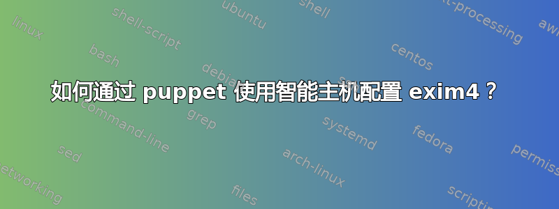 如何通过 puppet 使用智能主机配置 exim4？