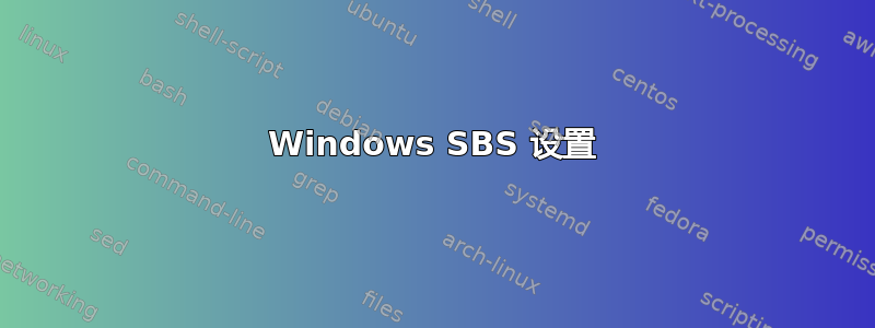 Windows SBS 设置