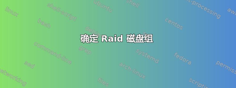 确定 Raid 磁盘组