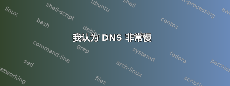 我认为 DNS 非常慢 