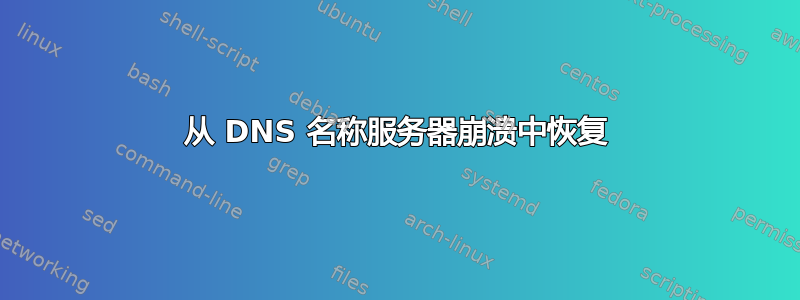 从 DNS 名称服务器崩溃中恢复