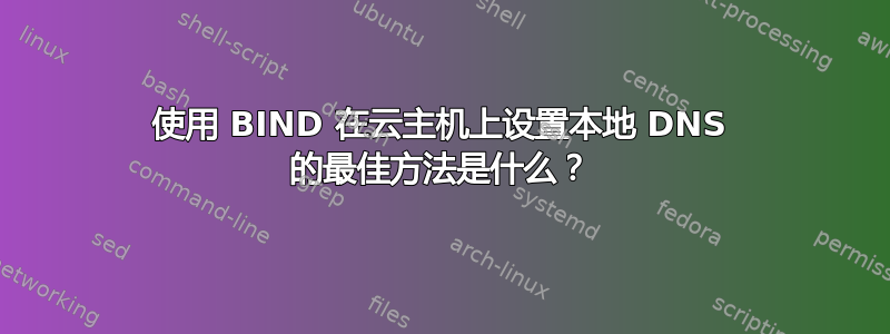 使用 BIND 在云主机上设置本地 DNS 的最佳方法是什么？