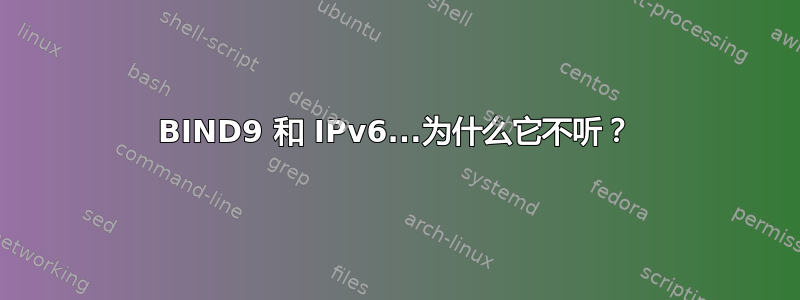 BIND9 和 IPv6...为什么它不听？