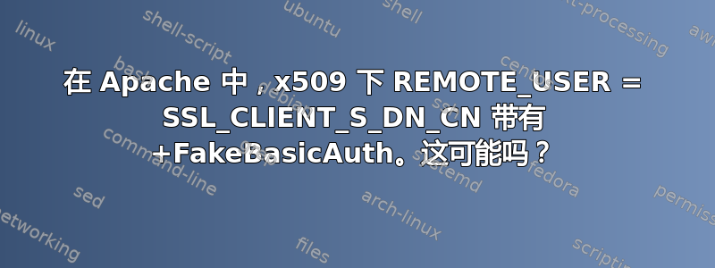 在 Apache 中，x509 下 REMOTE_USER = SSL_CLIENT_S_DN_CN 带有 +FakeBasicAuth。这可能吗？