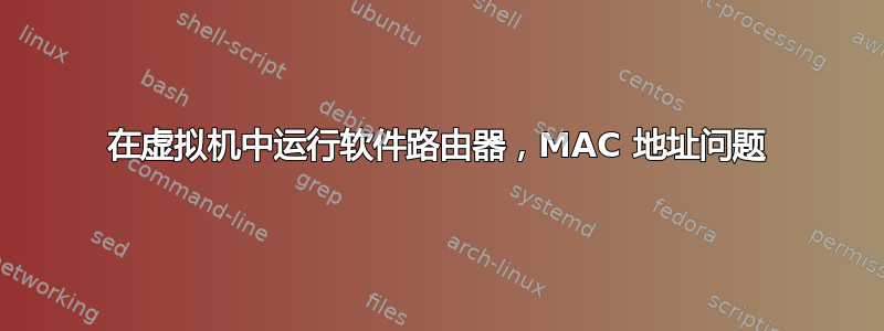 在虚拟机中运行软件路由器，MAC 地址问题