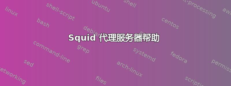 Squid 代理服务器帮助