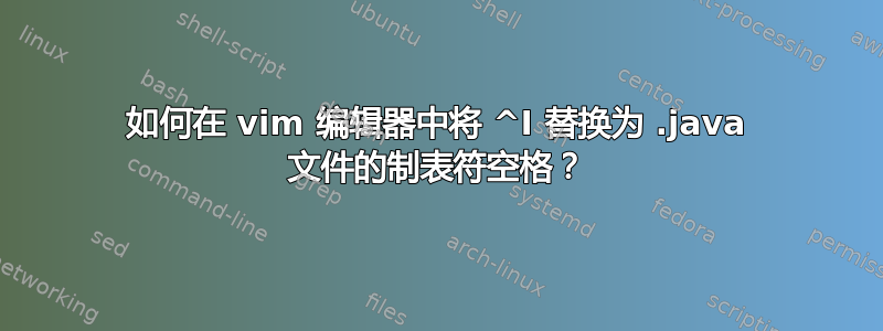 如何在 vim 编辑器中将 ^I 替换为 .java 文件的制表符空格？