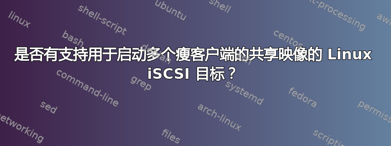 是否有支持用于启动多个瘦客户端的共享映像的 Linux iSCSI 目标？