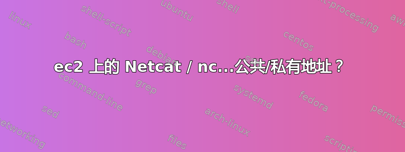 ec2 上的 Netcat / nc...公共/私有地址？