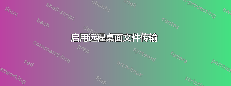 启用远程桌面文件传输