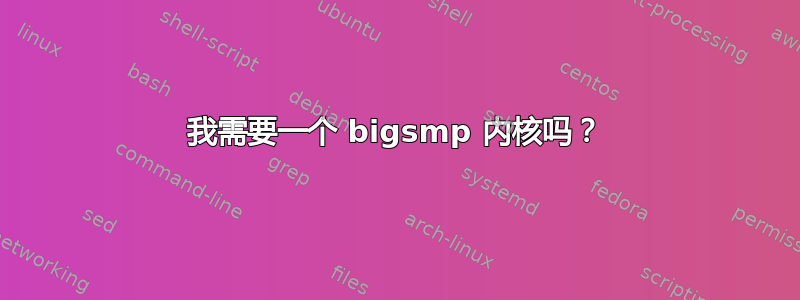 我需要一个 bigsmp 内核吗？