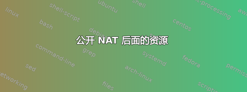 公开 NAT 后面的资源