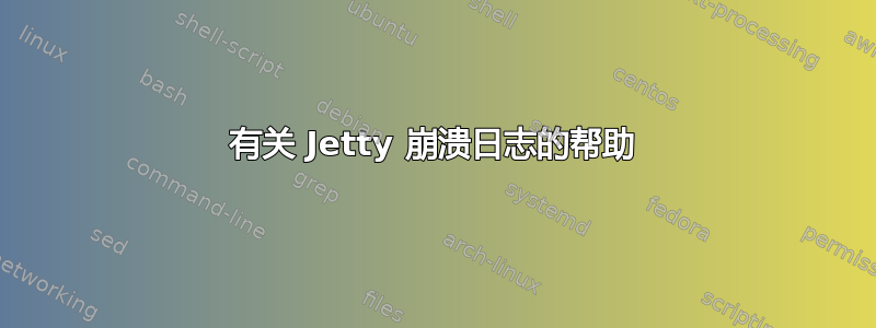 有关 Jetty 崩溃日志的帮助