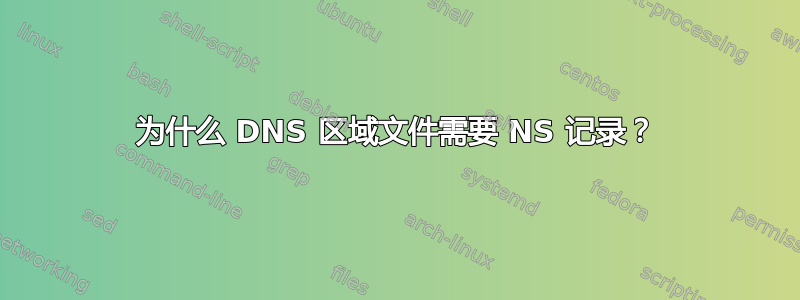 为什么 DNS 区域文件需要 NS 记录？