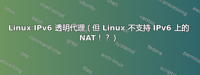 Linux IPv6 透明代理（但 Linux 不支持 IPv6 上的 NAT！？）