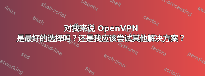 对我来说 OpenVPN 是最好的选择吗？还是我应该尝试其他解决方案？