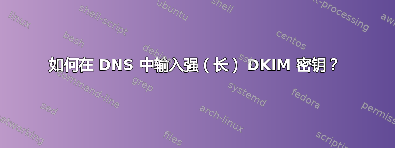 如何在 DNS 中输入强（长） DKIM 密钥？