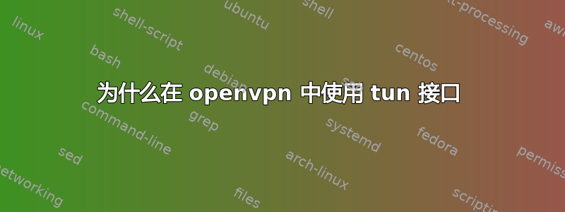 为什么在 openvpn 中使用 tun 接口