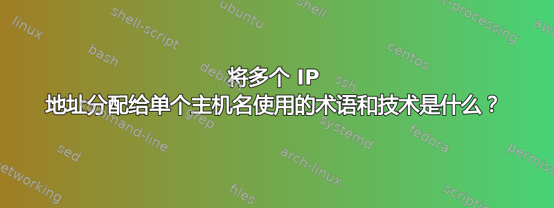 将多个 IP 地址分配给单个主机名使用的术语和技术是什么？