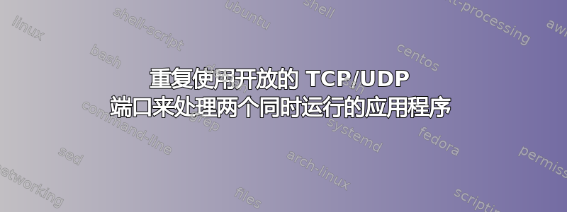 重复使用开放的 TCP/UDP 端口来处理两个同时运行的应用程序