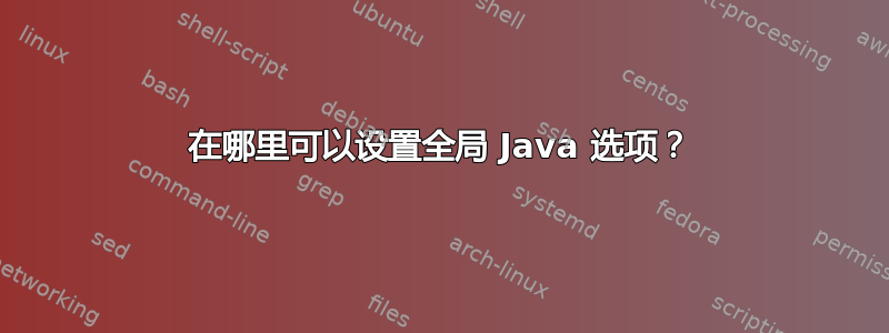 在哪里可以设置全局 Java 选项？