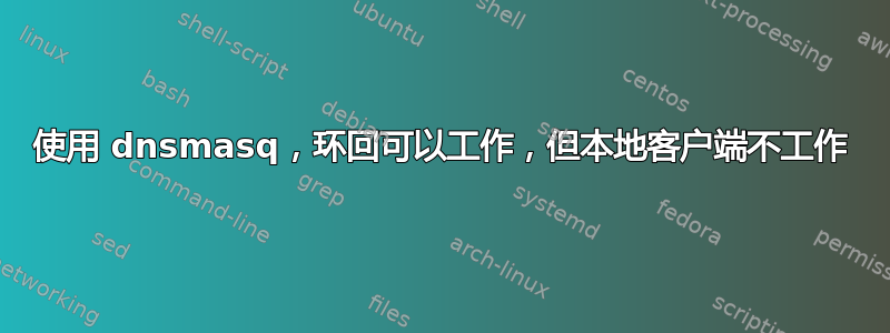 使用 dnsmasq，环回可以工作，但本地客户端不工作