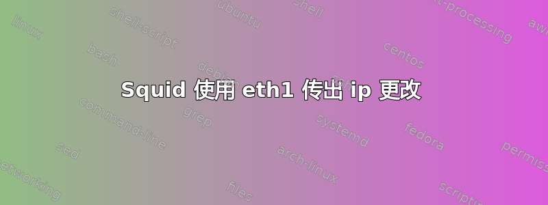 Squid 使用 eth1 传出 ip 更改