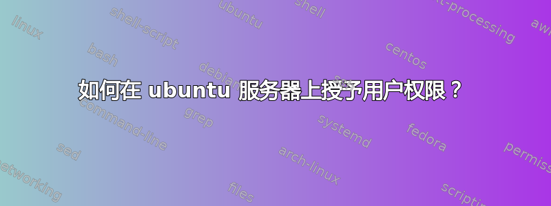 如何在 ubuntu 服务器上授予用户权限？