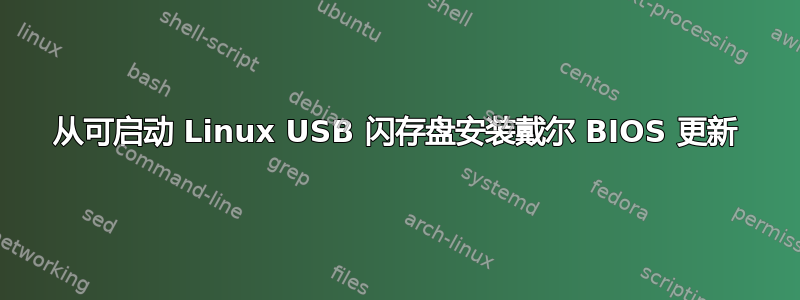 从可启动 Linux USB 闪存盘安装戴尔 BIOS 更新