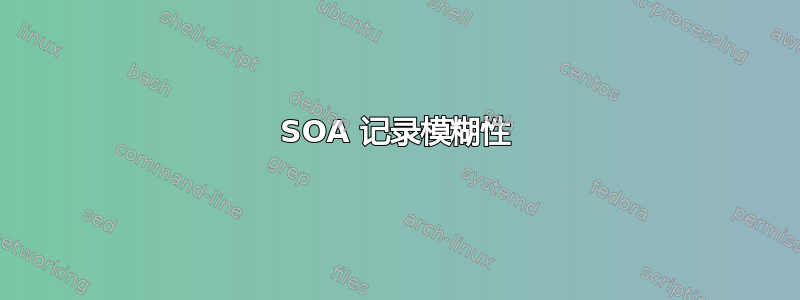 SOA 记录模糊性