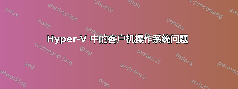 Hyper-V 中的客户机操作系统问题