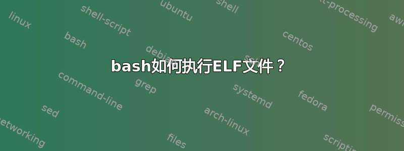 bash如何执行ELF文件？