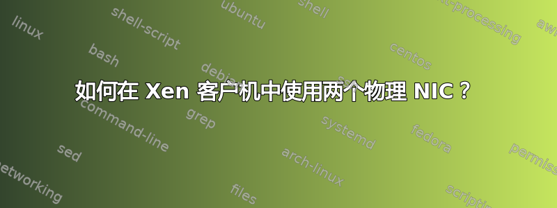 如何在 Xen 客户机中使用两个物理 NIC？