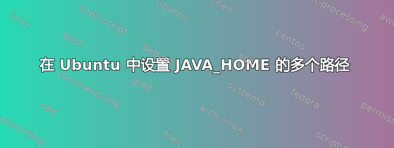 在 Ubuntu 中设置 JAVA_HOME 的多个路径