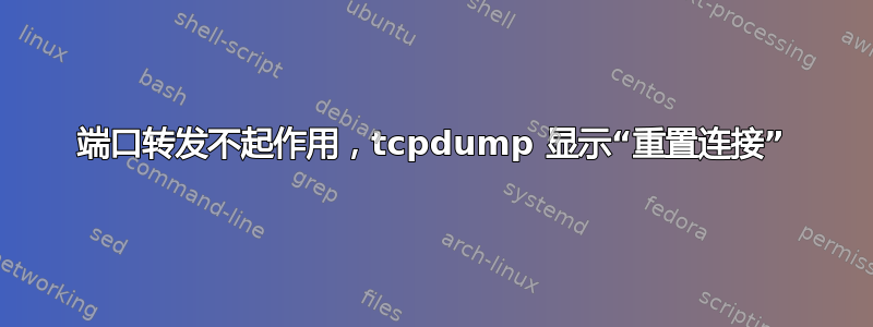 端口转发不起作用，tcpdump 显示“重置连接”