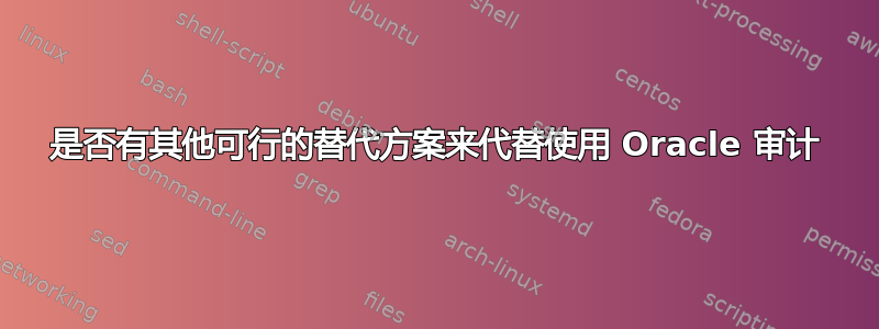 是否有其他可行的替代方案来代替使用 Oracle 审计