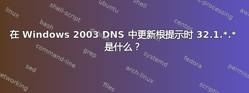 在 Windows 2003 DNS 中更新根提示时 32.1.*.* 是什么？