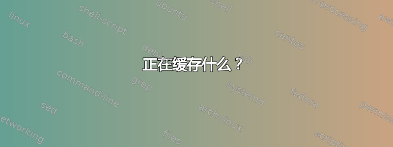 正在缓存什么？