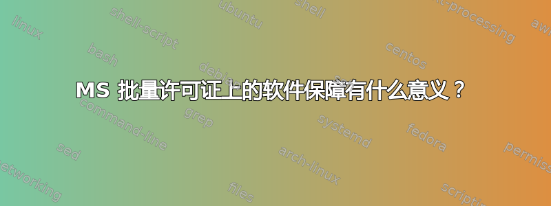 MS 批量许可证上的软件保障有什么意义？