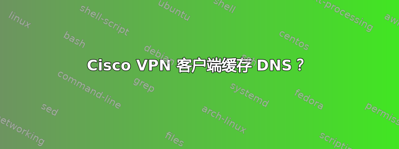 Cisco VPN 客户端缓存 DNS？