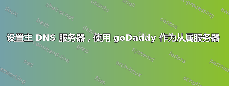 设置主 DNS 服务器，使用 goDaddy 作为从属服务器