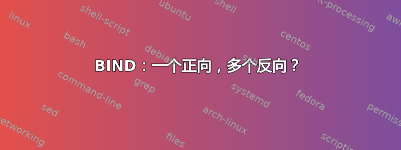 BIND：一个正向，多个反向？