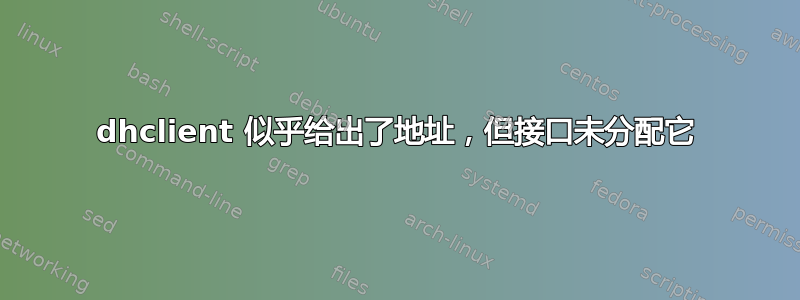 dhclient 似乎给出了地址，但接口未分配它