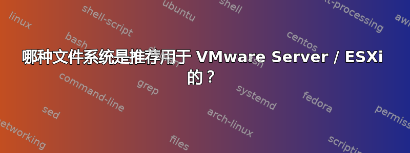 哪种文件系统是推荐用于 VMware Server / ESXi 的？