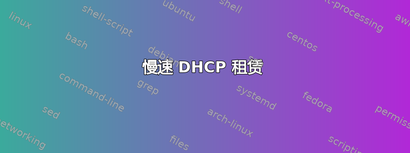 慢速 DHCP 租赁