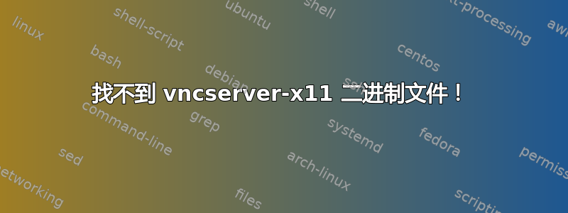 找不到 vncserver-x11 二进制文件！