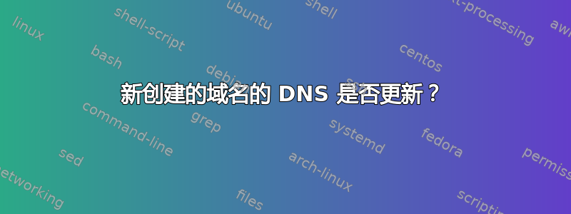 新创建的域名的 DNS 是否更新？