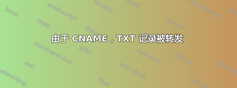 由于 CNAME，TXT 记录被转发